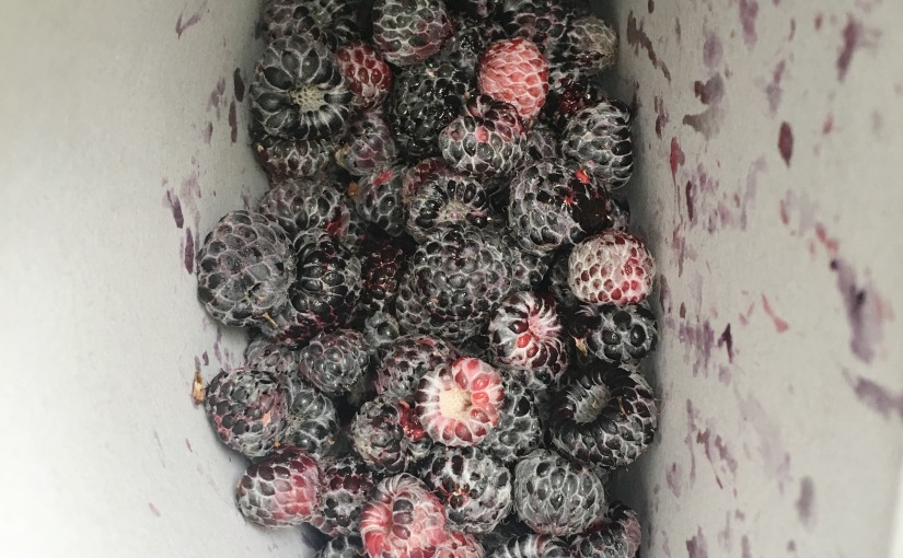 local raspberries